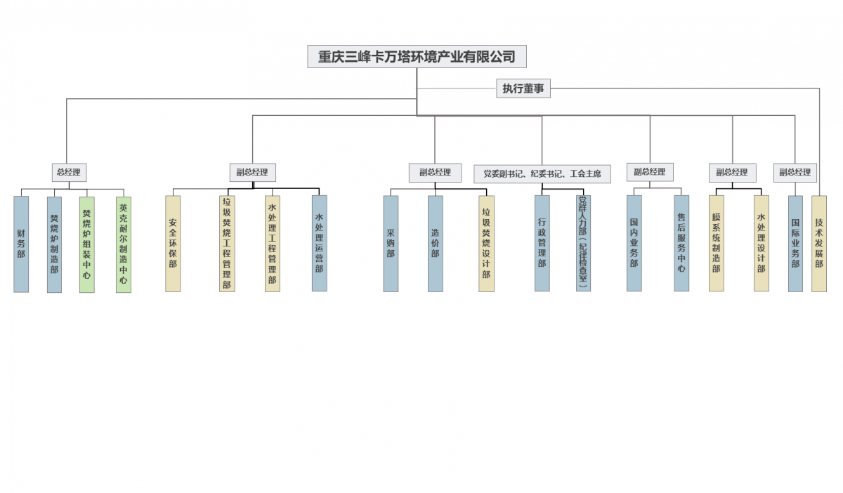 重慶三峰卡萬塔環(huán)境產(chǎn)業(yè)有限公司組織架構圖2025